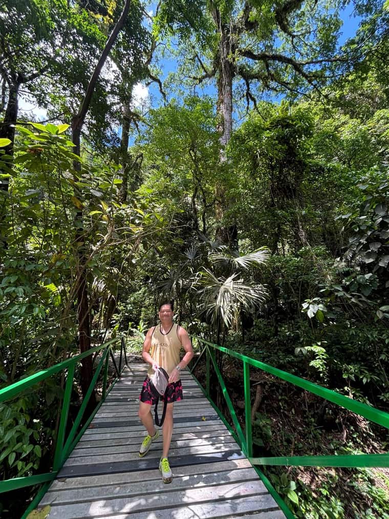 Puente verde de madera sobre un río en la selva